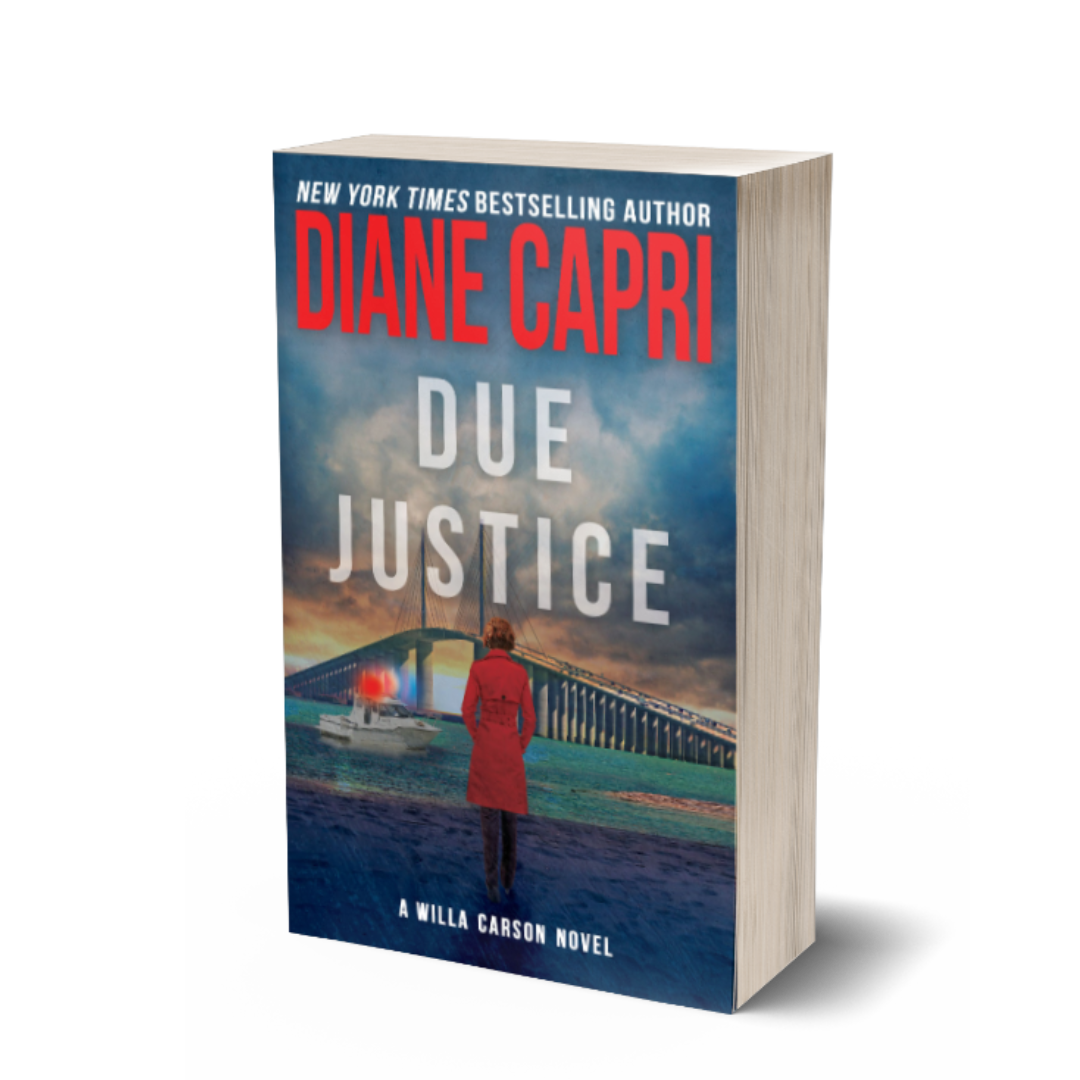 Due Justice paperback - The Hunt for Justice Series